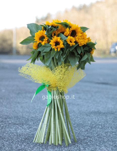 girasoli a numero