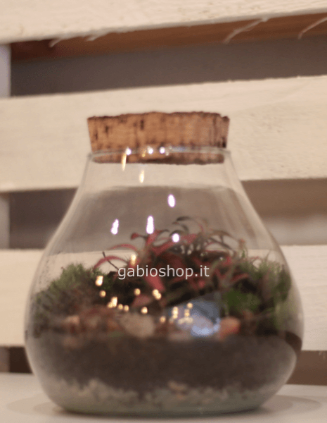 ecositema con tappo altezza 20 cm