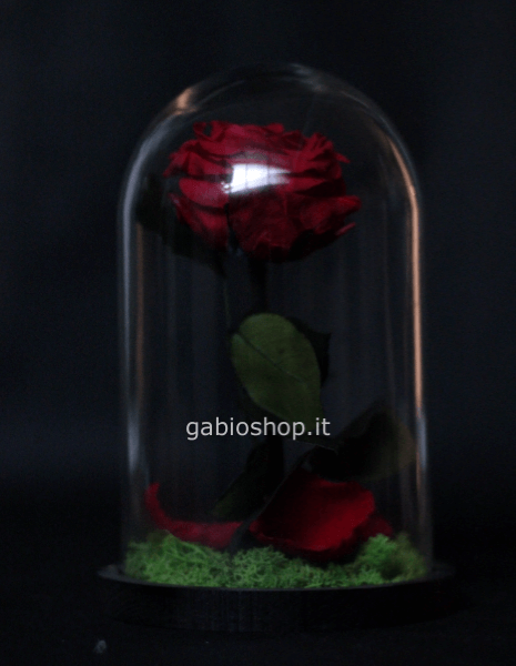 rosa bella e la bestia 