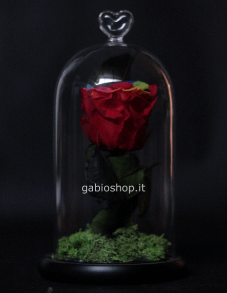 rosa rossa bella e la bestia 