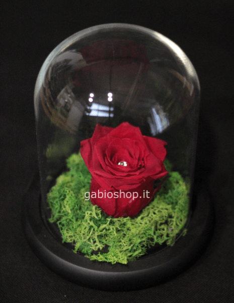 rosa rossa stabilizzata in base legno 