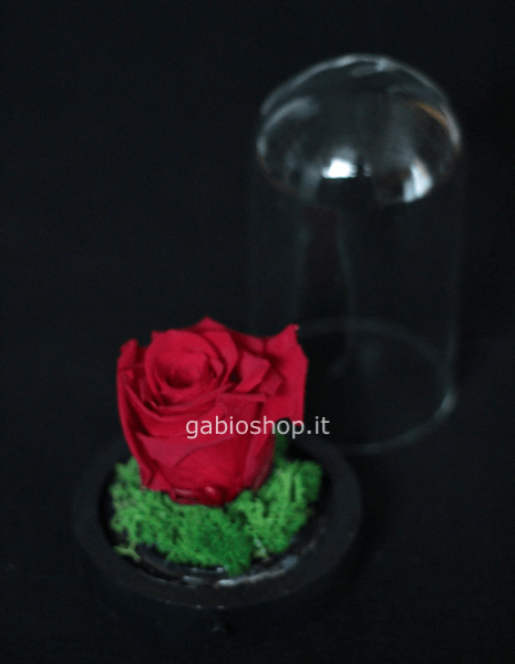 rosa rossa in base legno con led