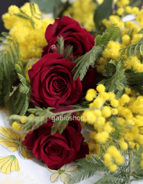 mimosa con 3 rose rosse explorer 70 cm